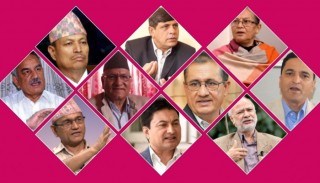 एमालेभित्रको १० भाइको संगठित गुट विघटन